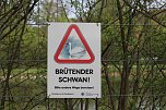 Absperrung um das Schwanennest im Sondersh&auml;user Schlosspark (Foto: Eva Maria Wiegand)