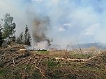 Waldbrand im Birkenmoor (Foto: Fotos: Freiwillige Niedersachswerfen , Freiwillige Feuerwehr Ilfeld/Wiegersdorf / Silvio Dietzel)