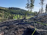 Waldbrand im Birkenmoor (Foto: Fotos: Freiwillige Niedersachswerfen , Freiwillige Feuerwehr Ilfeld/Wiegersdorf / Silvio Dietzel)