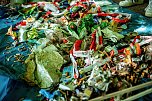 Aufr&auml;um-Aktion der Humbolt-Sch&uuml;ler im Stadtpark (Foto: Christoph Keil)