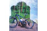 Bild des gestohlenen Bikes (Foto: Privat)