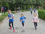 Impressionen vom 9. Drei-Türme-Lauf (Foto: M.Fromm) Impressionen vom 9. Drei-Türme-Lauf (Foto: M.Fromm)