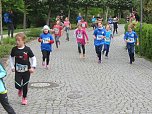 Impressionen vom 9. Drei-Türme-Lauf (Foto: M.Fromm) Impressionen vom 9. Drei-Türme-Lauf (Foto: M.Fromm)