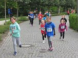 Impressionen vom 9. Drei-Türme-Lauf (Foto: M.Fromm) Impressionen vom 9. Drei-Türme-Lauf (Foto: M.Fromm)