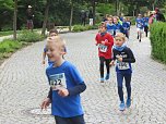 Impressionen vom 9. Drei-Türme-Lauf (Foto: M.Fromm) Impressionen vom 9. Drei-Türme-Lauf (Foto: M.Fromm)