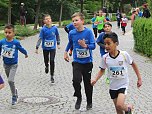 Impressionen vom 9. Drei-Türme-Lauf (Foto: M.Fromm) Impressionen vom 9. Drei-Türme-Lauf (Foto: M.Fromm)
