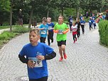Impressionen vom 9. Drei-Türme-Lauf (Foto: M.Fromm) Impressionen vom 9. Drei-Türme-Lauf (Foto: M.Fromm)