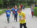 Impressionen vom 9. Drei-Türme-Lauf (Foto: M.Fromm) Impressionen vom 9. Drei-Türme-Lauf (Foto: M.Fromm)