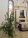 Konfirmation und Pfingsten gefeiert (Foto: Stutika � Ichstedt / Zimmer)