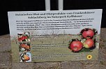 Hof- und Genussmarkt in der Tradi (Foto: C. Wilhelm)