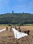Entstehung des Bodenbildes in Bad Frankenhausen (Foto: Kyffh&auml;user Denkmal)