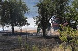 Fl&auml;chenbrand zwischen Gro&szlig;- und Kleinfurra (Foto: S.Dietzel)