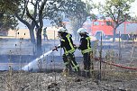 Fl&auml;chenbrand zwischen Gro&szlig;- und Kleinfurra (Foto: S.Dietzel)