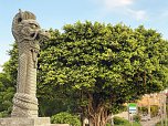 Nordh&auml;user Karateka auf Okinawa erfolgreich (Foto: F.Pelny)