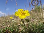 Fotowettbewerb l&auml;uft noch bis Ende September (Foto: S.Staubitz)