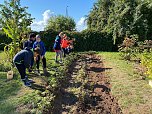 Schulgartenprojekt in der Staatlichen Grundschule Hohenebra (Foto: M. Ryska)
