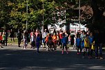 Herbstcrosslauf im Gehege (Foto: agl)