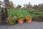 Saisonabschluss im Rosarium (Foto: P.Blei)