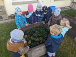 Herbstwoche bei den Bodestrolchen (Foto: Daniela Steinecke)