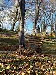 Laubfegen im Schlosspark Ebeleben (Foto: Marsell) Laubfegen im Schlosspark Ebeleben (Foto: Marsell)