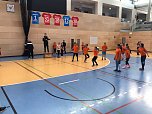 Zweifelderball-Turnier in der Salza Halle (Foto: H.Krause)