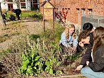 Das Herder-Gymnasium wurde als Umweltschule ausgezeichnet (Foto: Herder Gymnasium Nordhausen)
