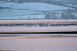Peter Blei unterwegs im Schnee (Foto: Peter Blei)