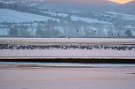 Peter Blei unterwegs im Schnee (Foto: Peter Blei)