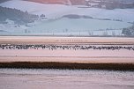 Peter Blei unterwegs im Schnee (Foto: Peter Blei)