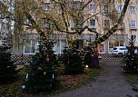 Nordhausen und sein Weihnachtsmarkt in festlichem Schmuck (Foto: Peter Blei)