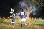 Brennender Baum bei Holzengel (Foto: S. Dietzel)