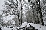 Winterimpressionen aus Kelbra (Foto: Ulrich Reinboth)