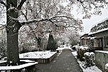 Winterimpressionen aus Kelbra (Foto: Ulrich Reinboth)