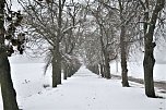 Winterimpressionen aus Kelbra (Foto: Ulrich Reinboth)