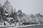 Winterimpressionen aus Kelbra (Foto: Ulrich Reinboth)