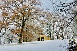 Advent im Park (Foto: F&ouml;rderverein Park Hohenrode)