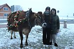 Wenn der Weihnachtsochse�durch die D&ouml;rfer zieht (Foto: S. Dietzel)