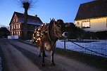 Wenn der Weihnachtsochse�durch die D&ouml;rfer zieht (Foto: S. Dietzel)