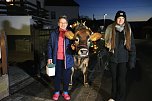 Wenn der Weihnachtsochse�durch die D&ouml;rfer zieht (Foto: S. Dietzel)