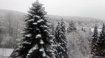 Momentaufnahmen im Advent w&auml;hrend eines Urlaubes in Reifenstein (Foto: Rosalinde Frank)