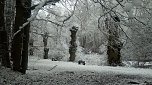 Momentaufnahmen im Advent w&auml;hrend eines Urlaubes in Reifenstein (Foto: Rosalinde Frank)