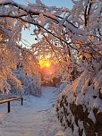 Spektakul&auml;rer Blick vom gro&szlig;en Inselberg bei Sonnenaufgang (Foto: Ronny aus Nordhausen)