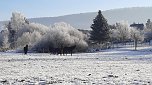 Winterimpressionen, aufgenommen an der Wipper (Foto: Gudrun L&uuml;bbecke)