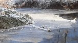 Winterimpressionen, aufgenommen an der Wipper (Foto: Gudrun L&uuml;bbecke)