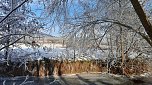 Winterimpressionen, aufgenommen an der Wipper (Foto: Gudrun L&uuml;bbecke)