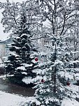 Advent im Pflegeheim (Foto: DRK)