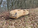 Neue Sitzgelegenheiten in Niedesachswerfen (Foto: Gemeinde Harztor)