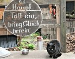 Saison er&ouml;ffnet  (Foto: U. Reinboth )