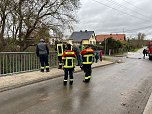 Arbeitseinsatz in Westgreu&szlig;en (Foto: S. Dietzel)