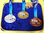 Nordh&auml;user Schwimmnachwuchs beim "Shark Day" in Halle (Foto: SVN 90)